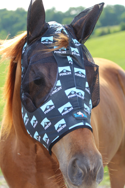 Turquoise Punchy Fly Mask