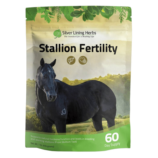 Stallion Fertility For Horses
