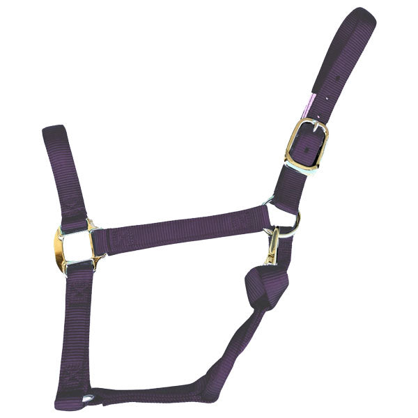 Halters
