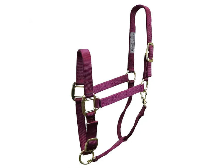 HALTERS