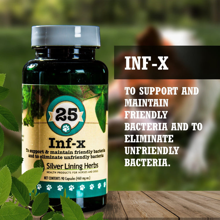 Supplements