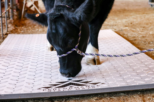 Portable Stall Mat Diamond Plate Design 5x10