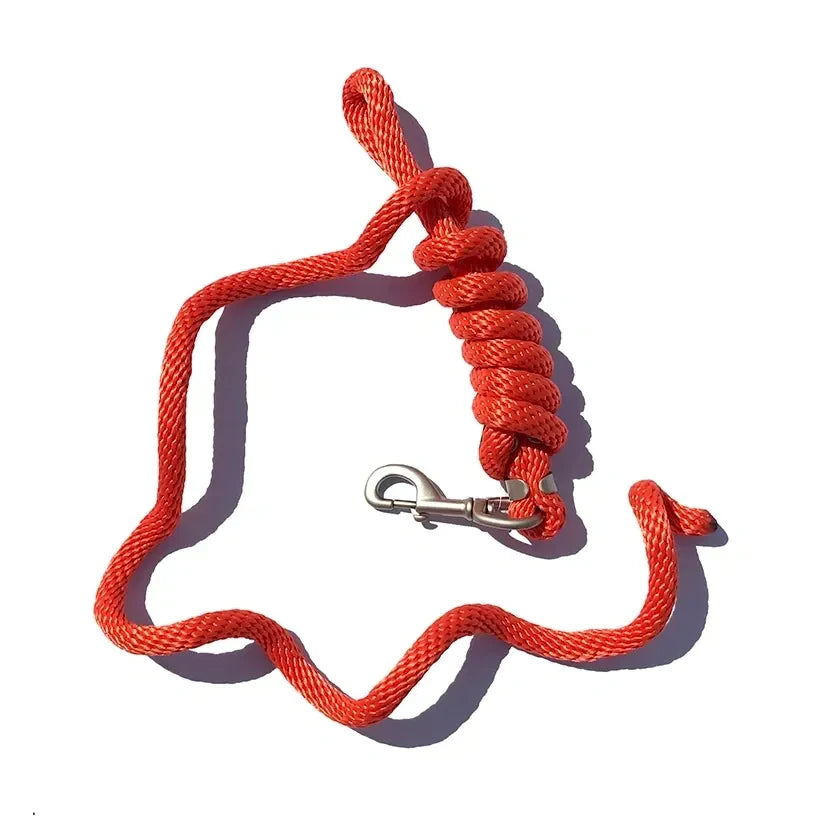 5/8" x 9' Poly Lead Rope, Nickel Plated Bolt Snap, Solid Colors