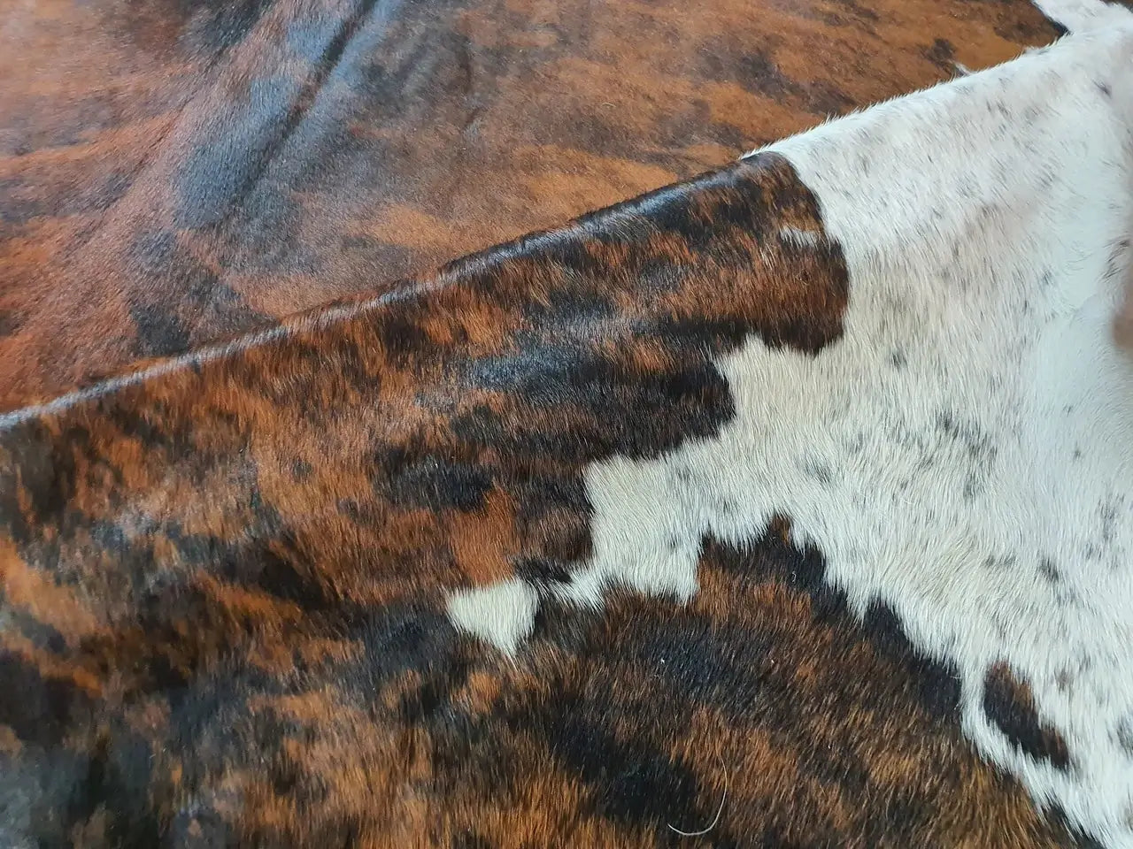 Brindle White Belly Brazilian Cowhide Rug: XXL