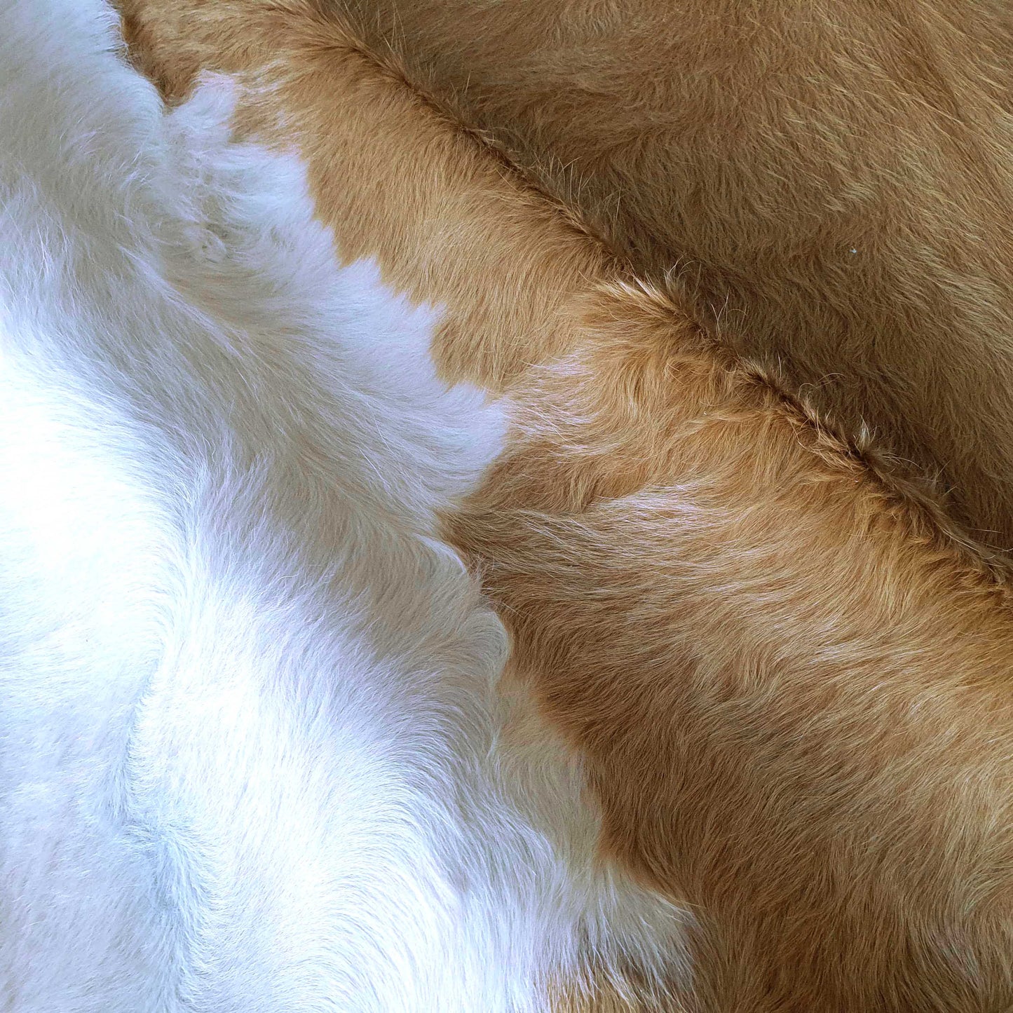 Palomino and White Brazilian Cowhide Rug: XL