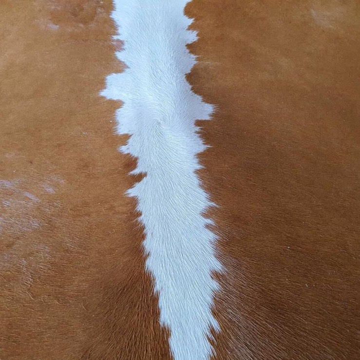 Hereford Brazilian Cowhide Rug: XL