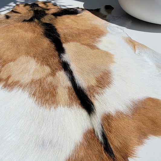 Goat Hides