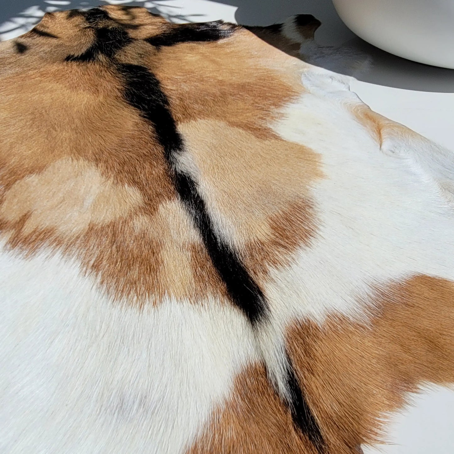 Goat Hides