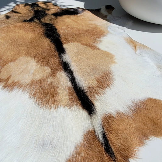 Goat Hides