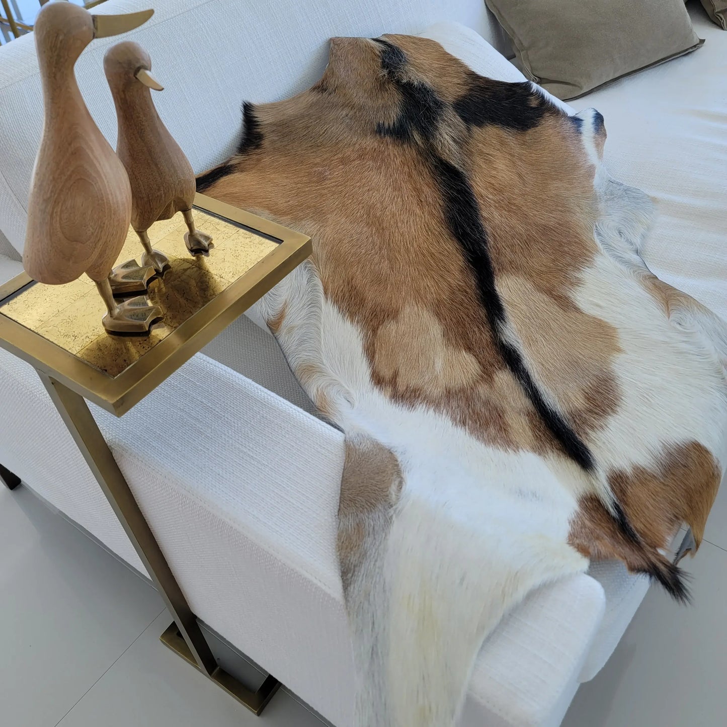Goat Hides