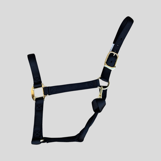 Halter Nylon with Replaceable Throat Snap, Draft Horse 1500 - 2000 lbs #26356