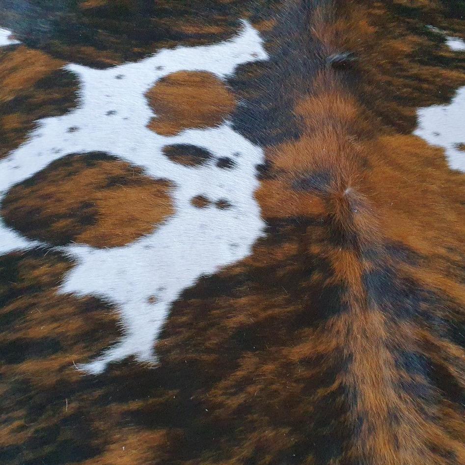 Tricolor Brazilian Cowhide Rug: XXL