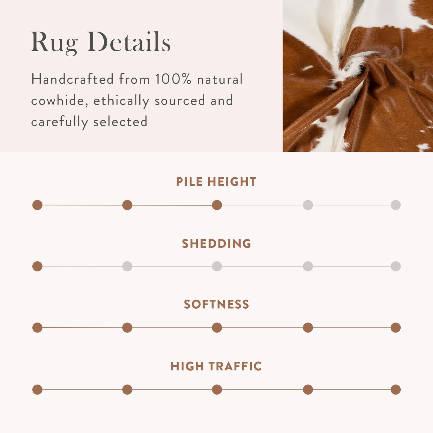 Brown and White Brazilian Cowhide Rug: XXL