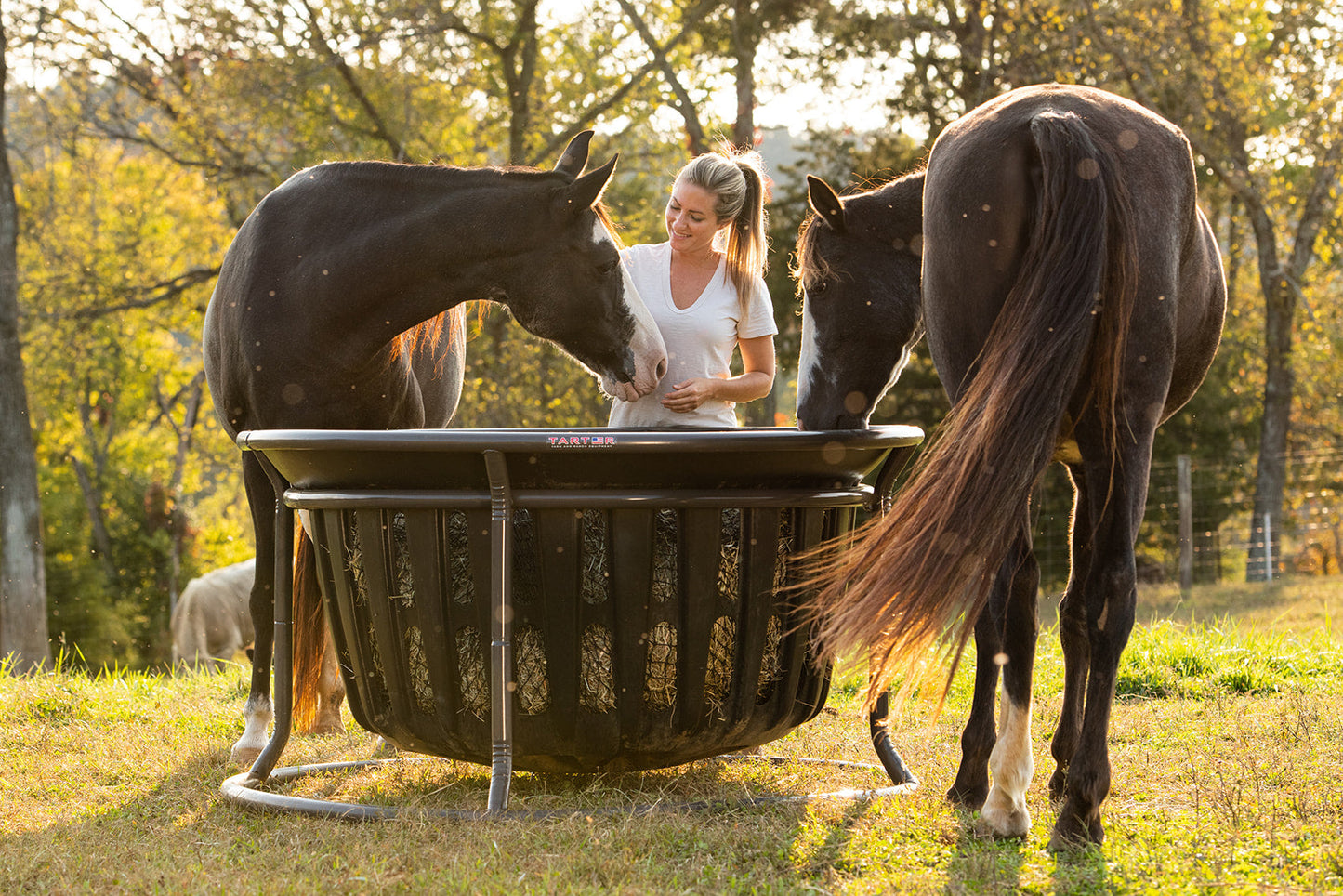 Hay Net for Tarter Equine Hay Basket (Basket Sold Separately)
