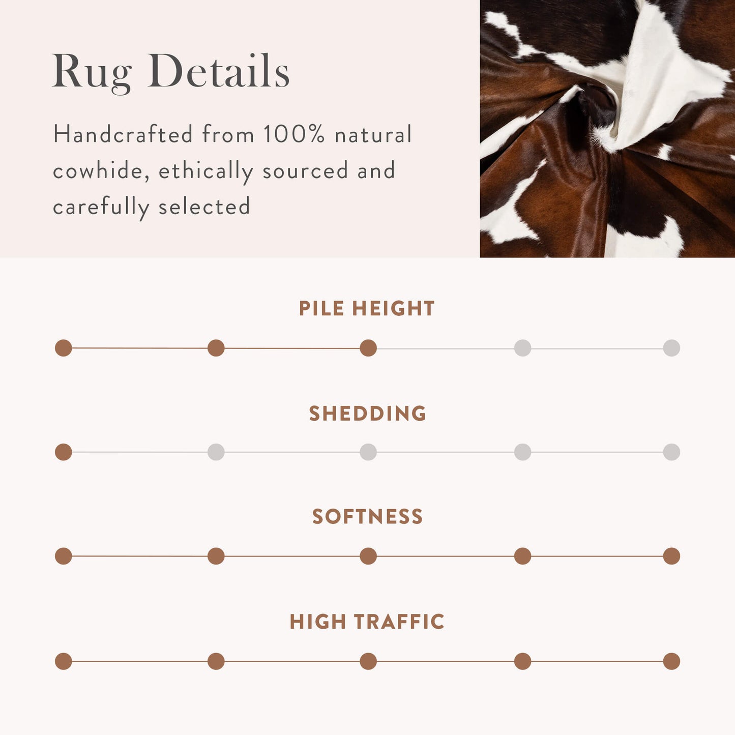 Chocolate and White Cowhide Rug