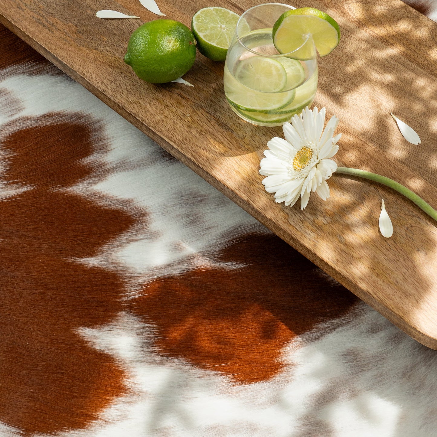 Brown and White Cowhide Rug