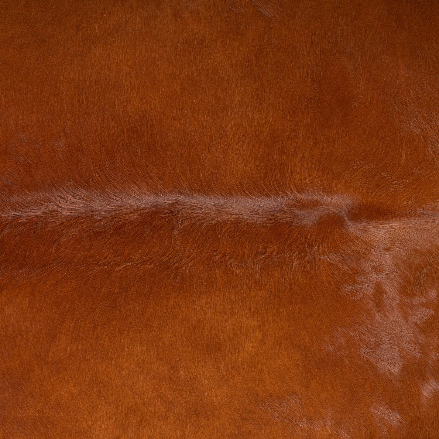 Brazilian Brown Cowhide Rug Size 7'1" L x 6'5" W 7270