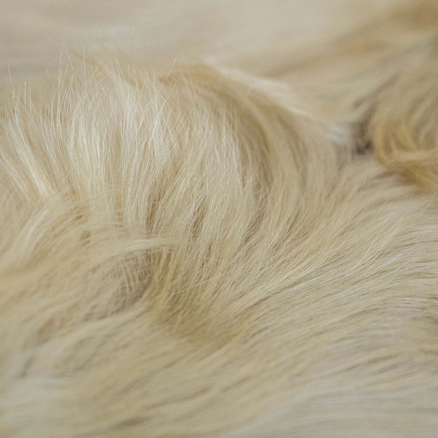 Champagne Brazilian Cowhide Rug: XL