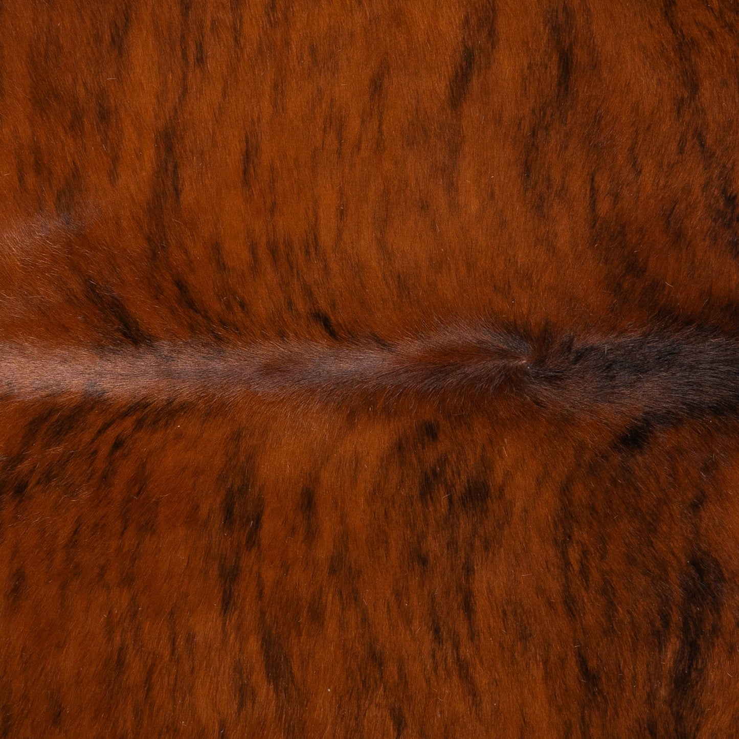 Brazilian Brindle White Belly Cowhide Rug Size 7'1" L x 6'5" W 8927