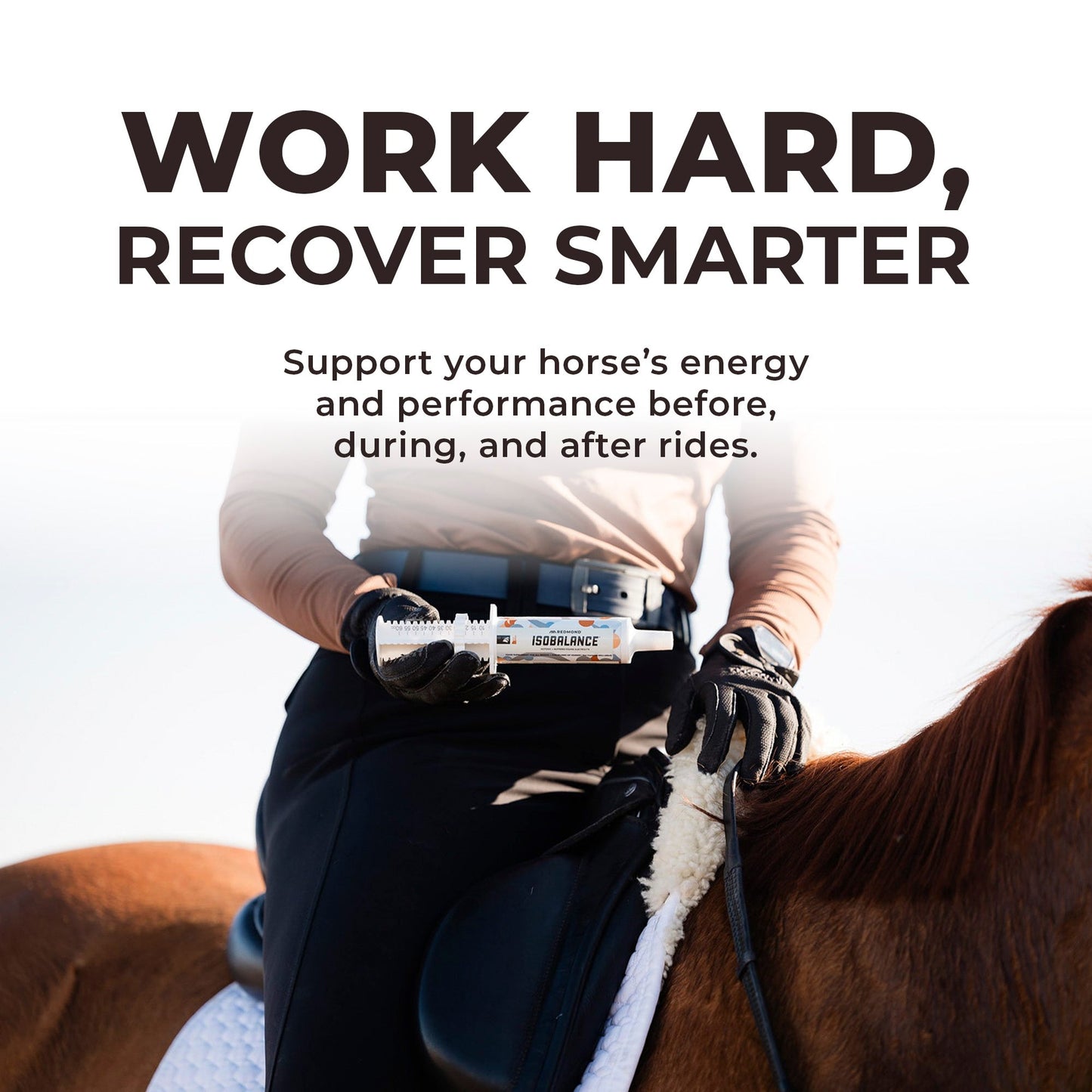 IsoBalance - Horse Electrolyte Paste