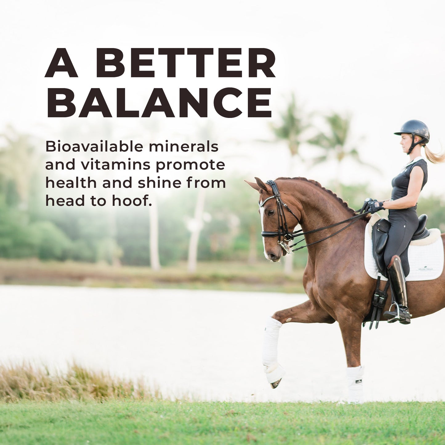 Daily Red® Fortified Garlic - Horse Vitamin & Mineral Supplement