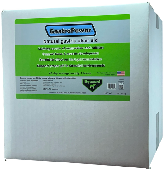 GastroPower – Natural Digestive Support for Horses