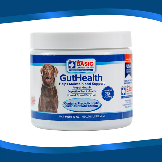 GutHealth Xtra Strength for Dogs - 10 oz.