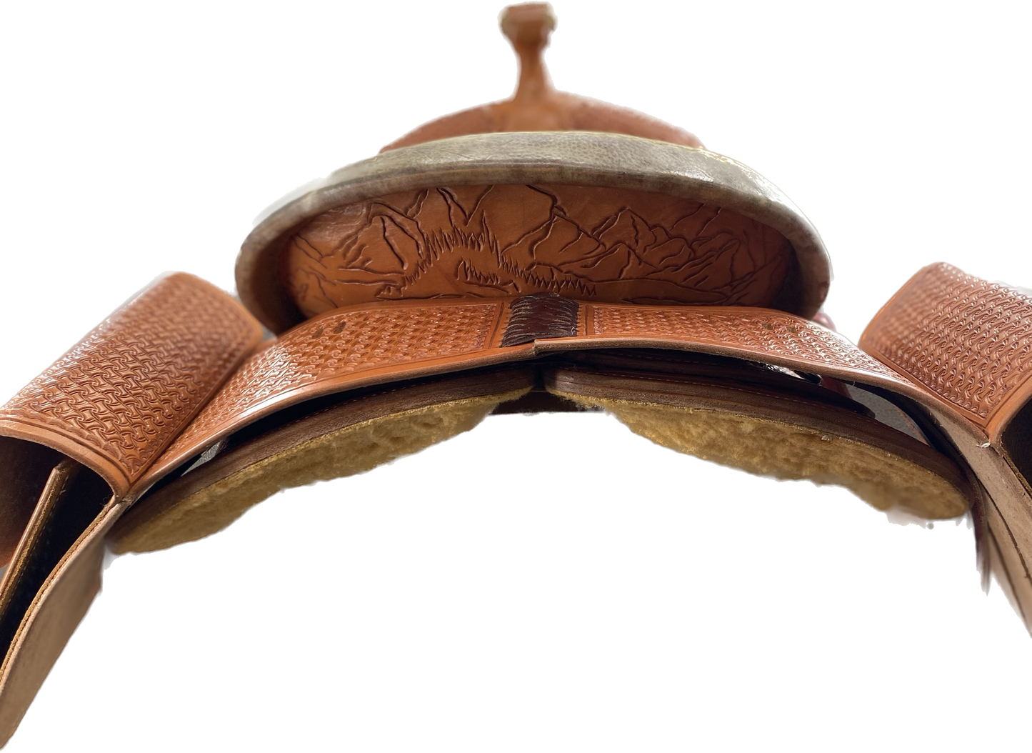 Colorado Mountain Trail 17"