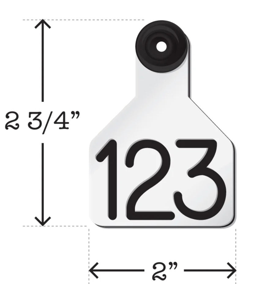 Eartag Keychains Fall Special