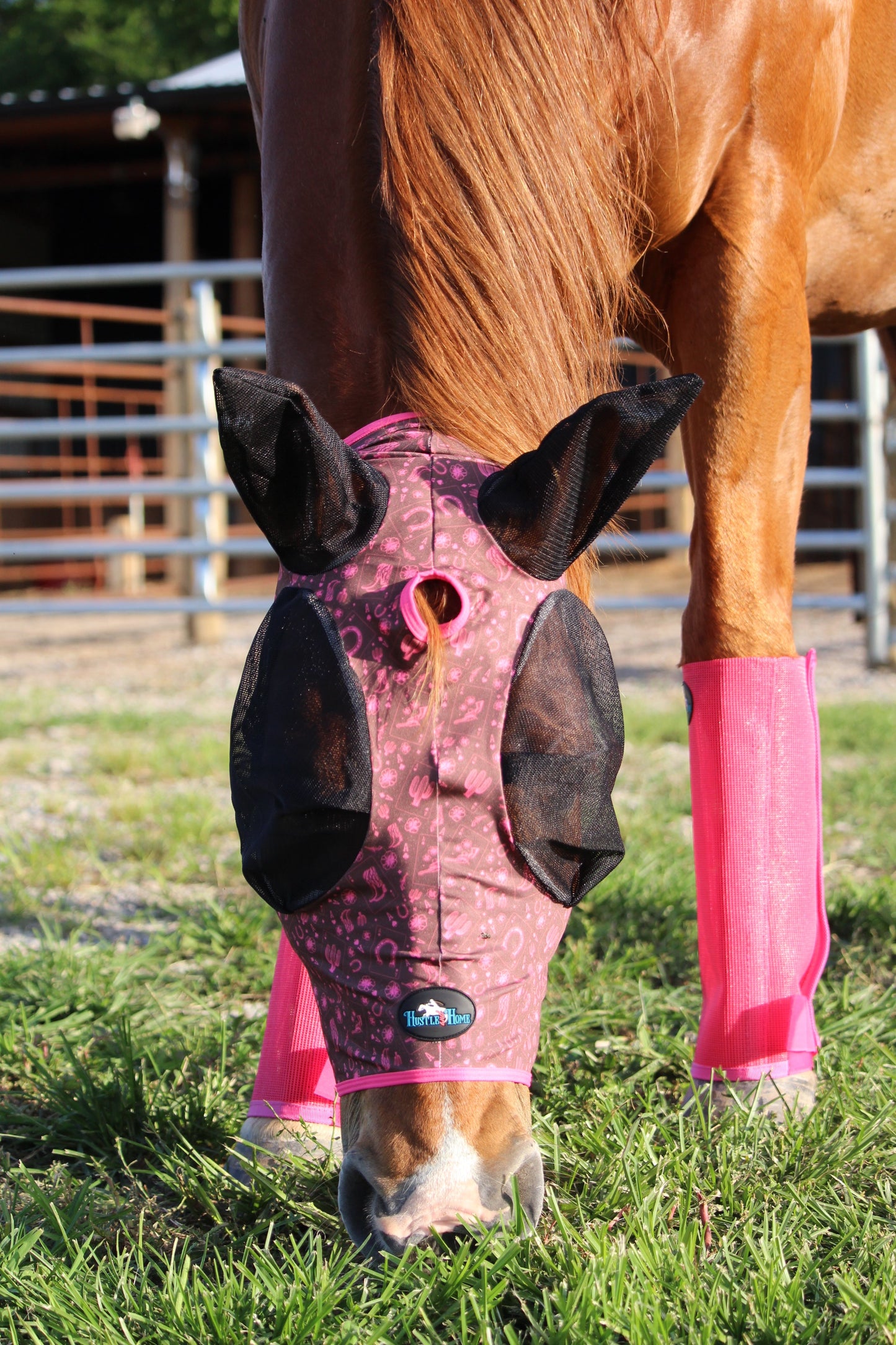 Lucky Draw Fly Mask