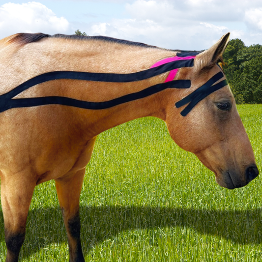 Horse Functional Taping Tape — 2-Way 3" Single Roll