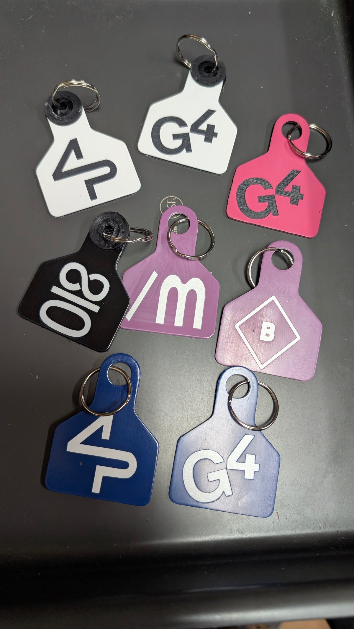 Eartag Keychains Fall Special