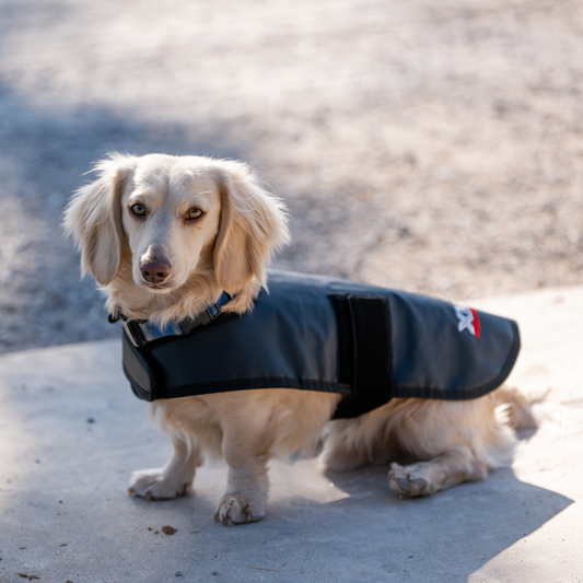 Redline Dog Wrap- Small
