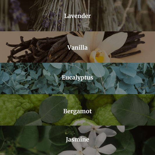 Cozy Tiny Home Candle 10.6 oz – Lavender, Vanilla & Eucalyptus