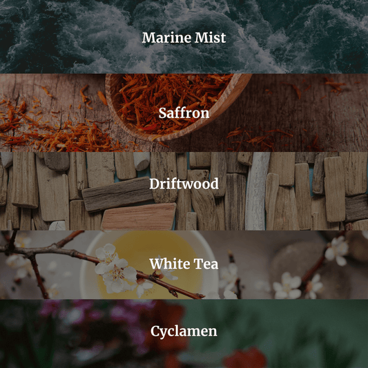 Beach Bungalow Candle 10.6 oz – Marine Air, Driftwood & White Tea