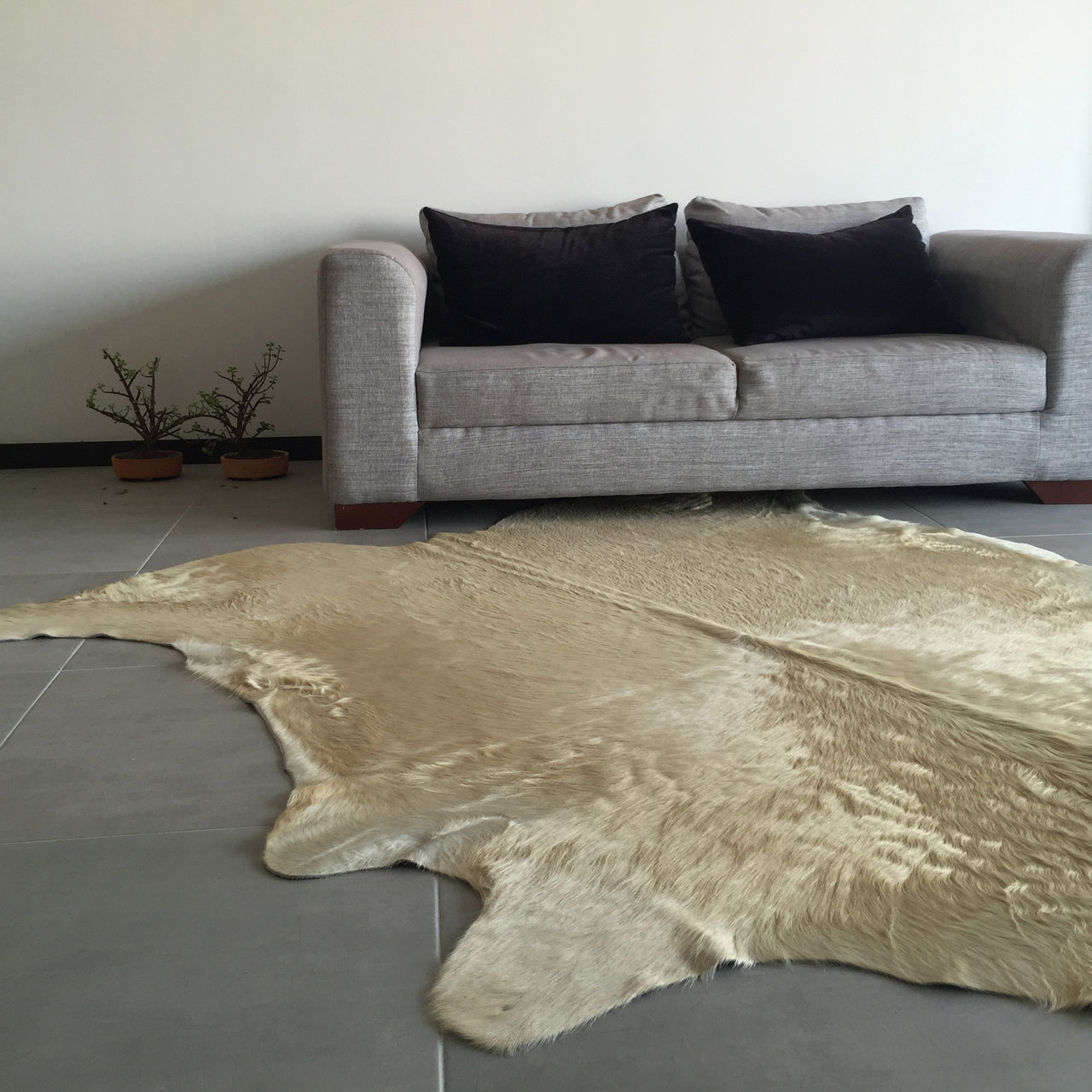 Champagne Brazilian Cowhide Rug: LARGE