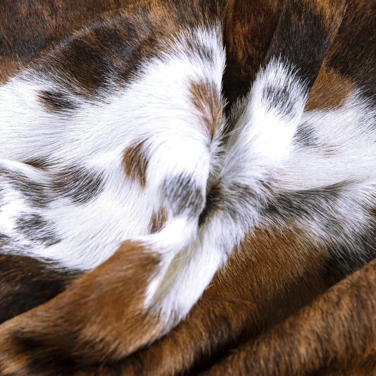 Tricolor Brazilian Cowhide Rug: XL