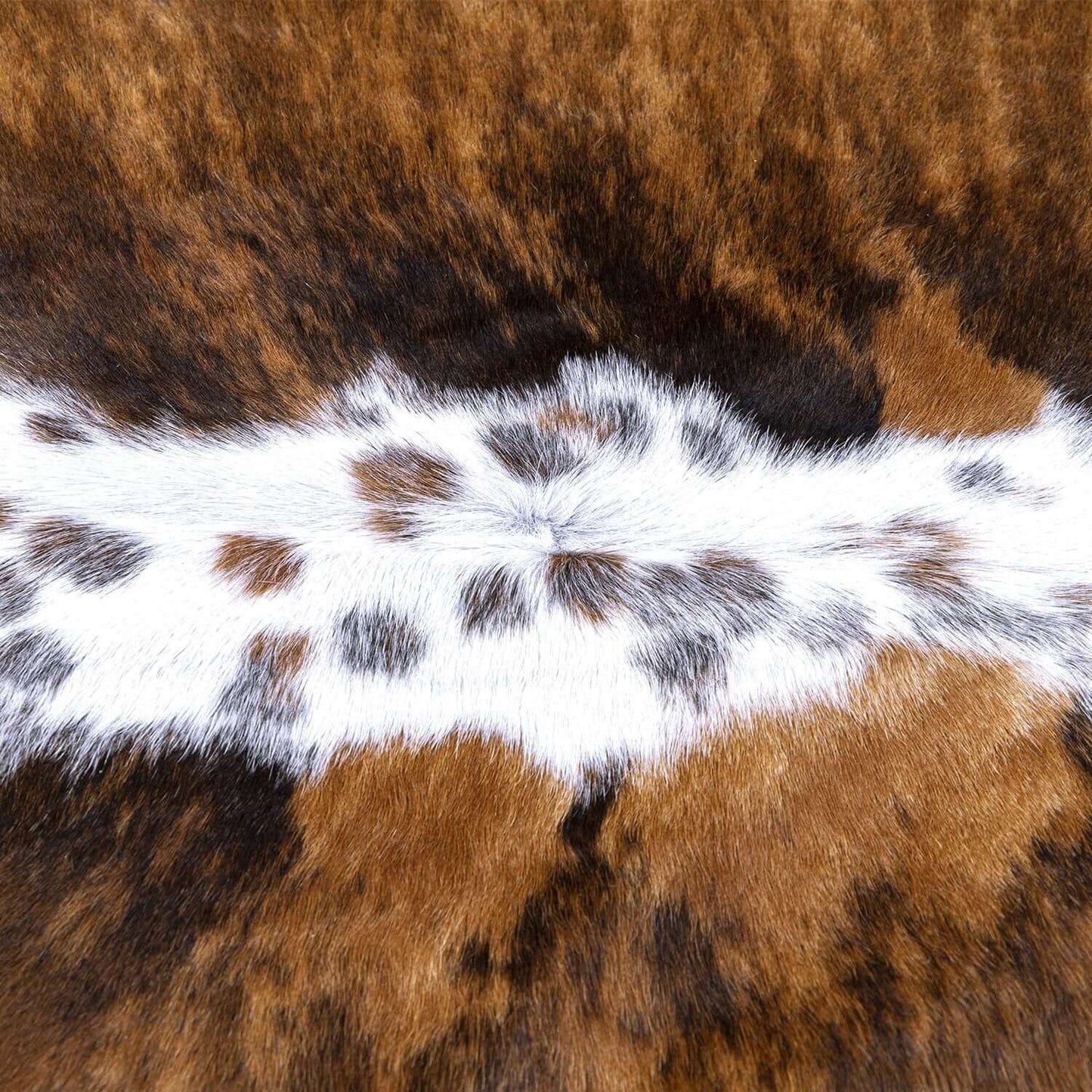 Tricolor Brazilian Cowhide Rug: LARGE