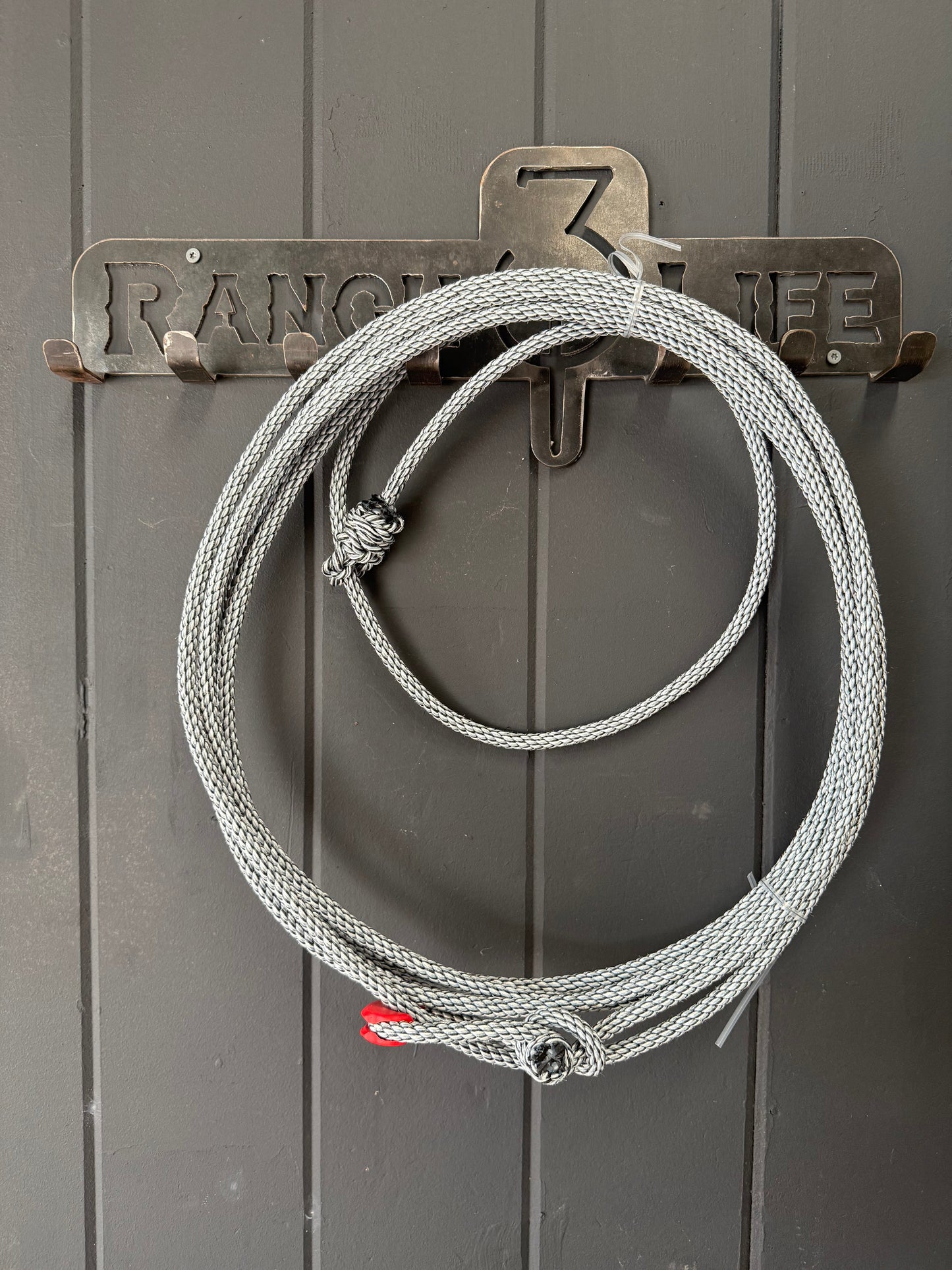 The 310 Fully Committed