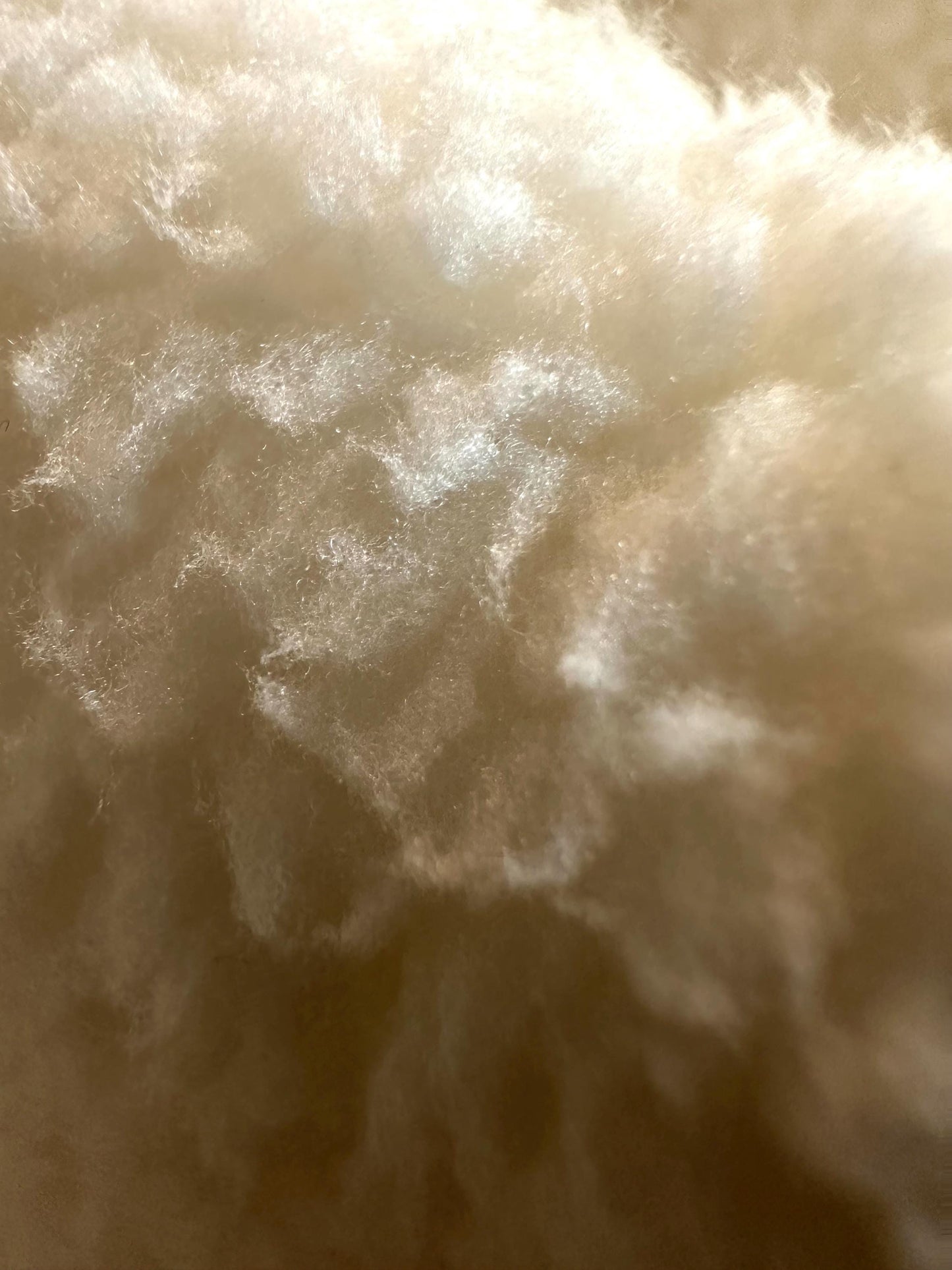 Pink Howdy Sherpa Sweatshirt: Western Cowgirl Style