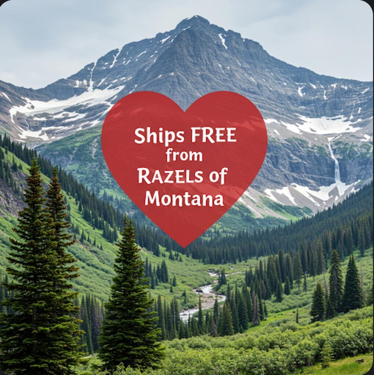 Longhorn Skull Slippers, Western Fall Halloween Shoes