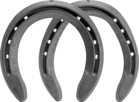 ASSORTED STEEL CRAFTING HORSESHOE
