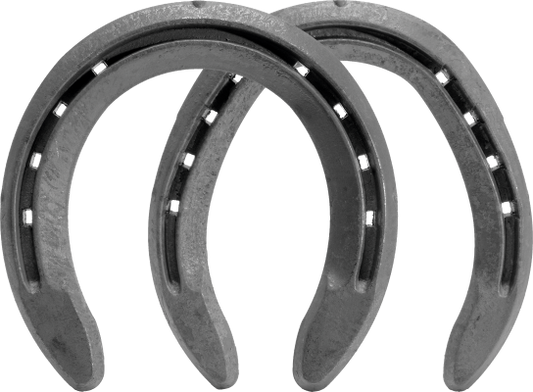 ASSORTED STEEL CRAFTING HORSESHOE