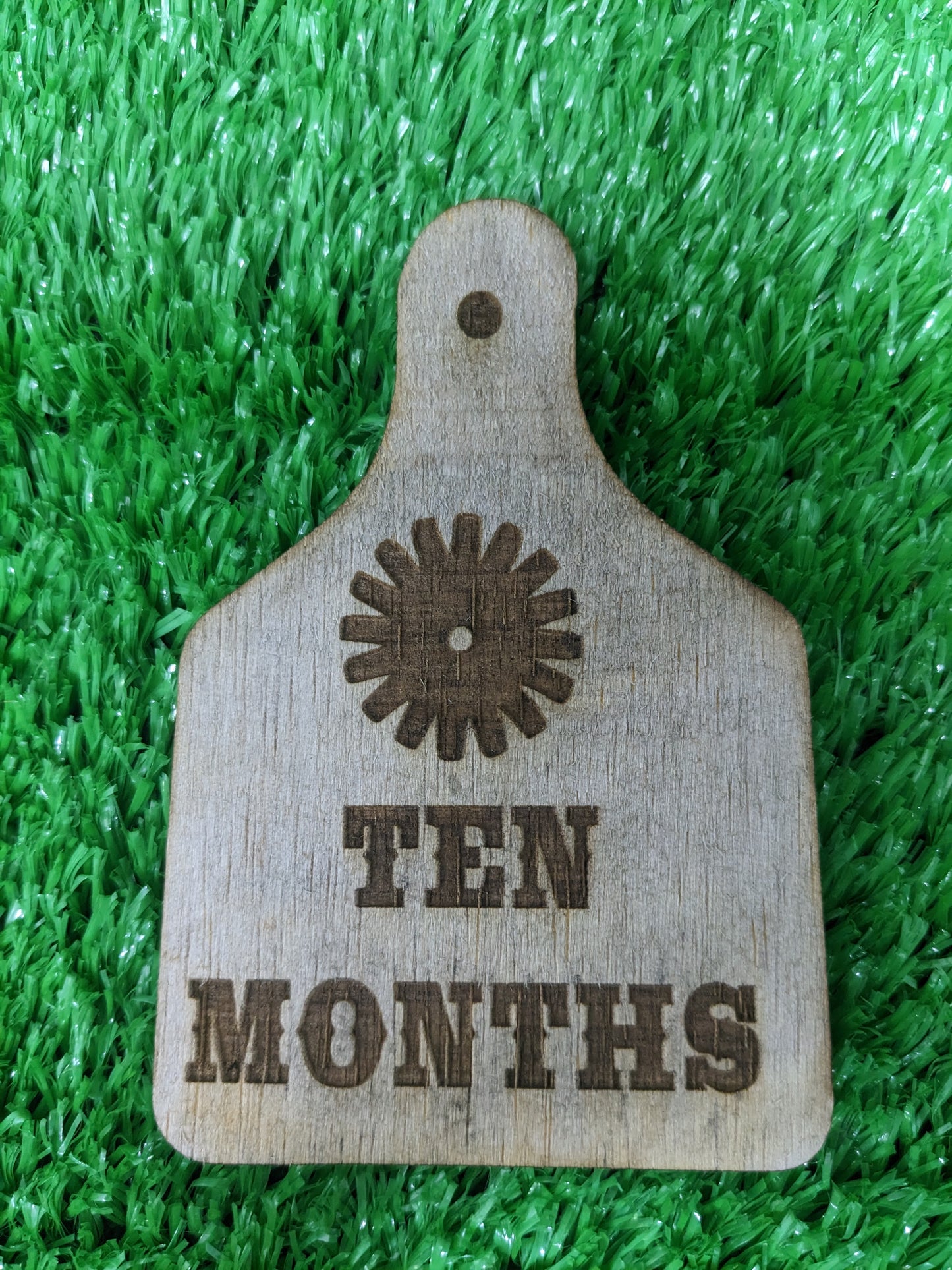 WESTERN BABY MILESTONE MARKERS SET OF 12