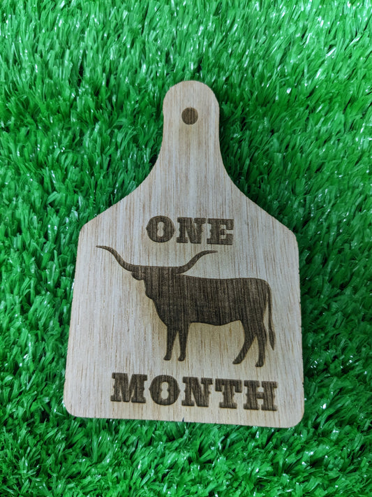 WESTERN BABY MILESTONE MARKERS SET OF 12