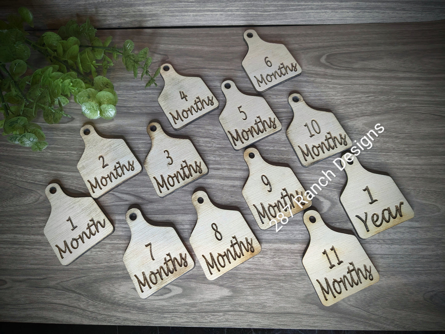 WESTERN EARTAG BABY MILESTONE MARKERS SET OF 12