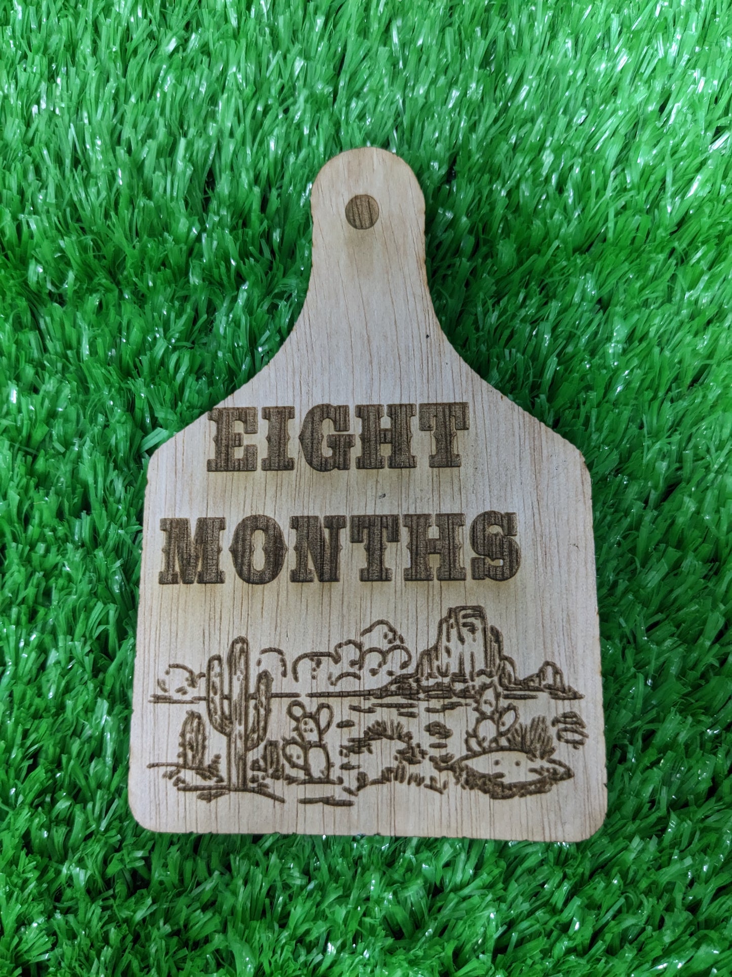 WESTERN BABY MILESTONE MARKERS SET OF 12