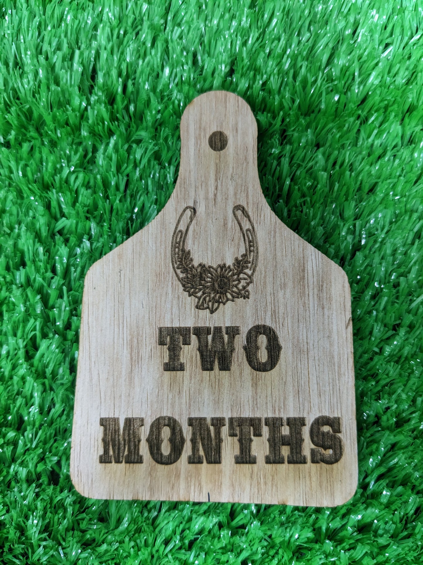 WESTERN BABY MILESTONE MARKERS SET OF 12