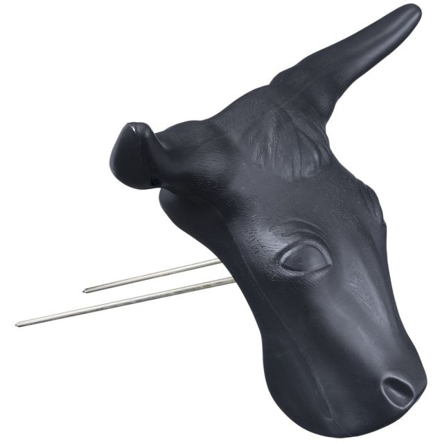 Practice Steerhead