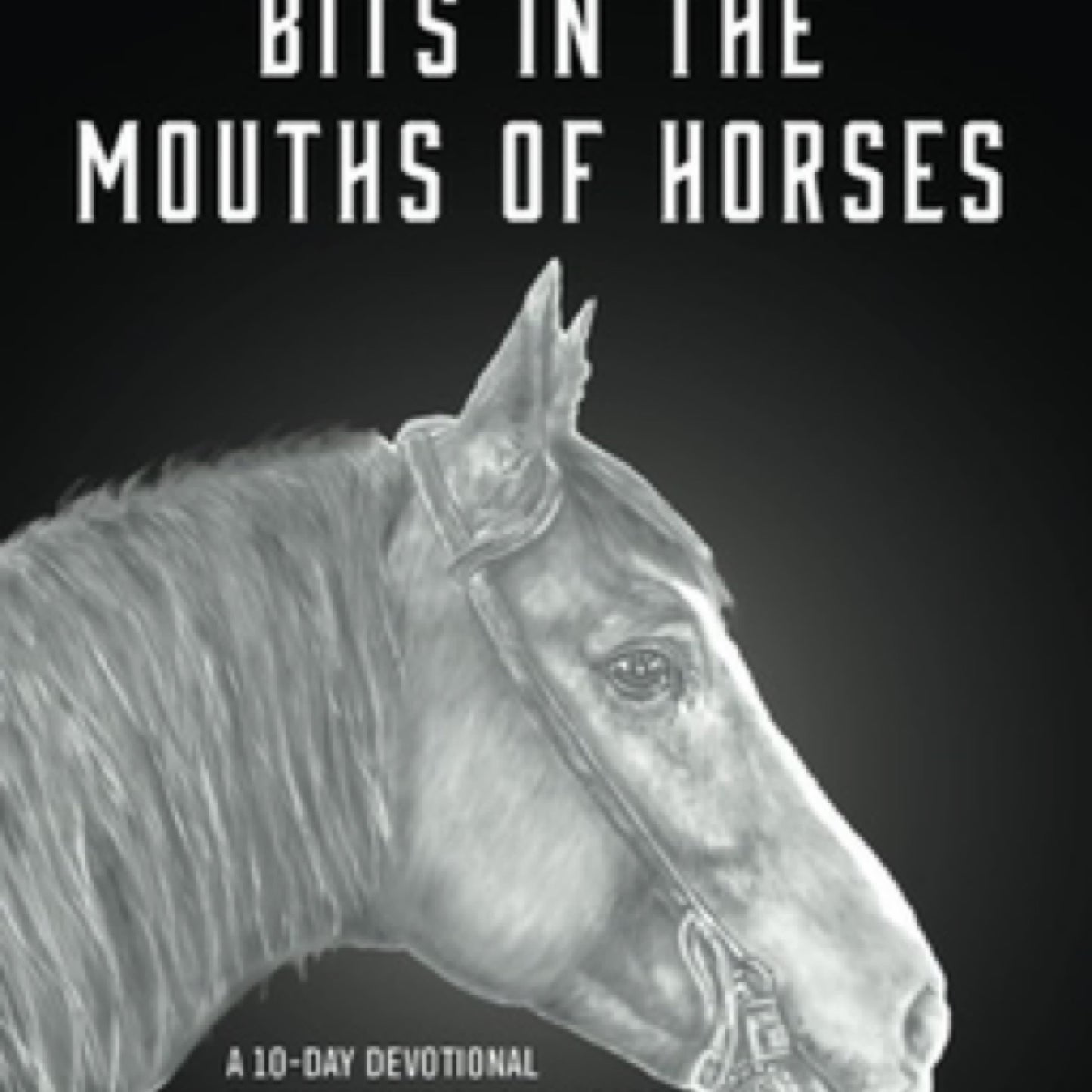 Bits In The Mouths of Horses